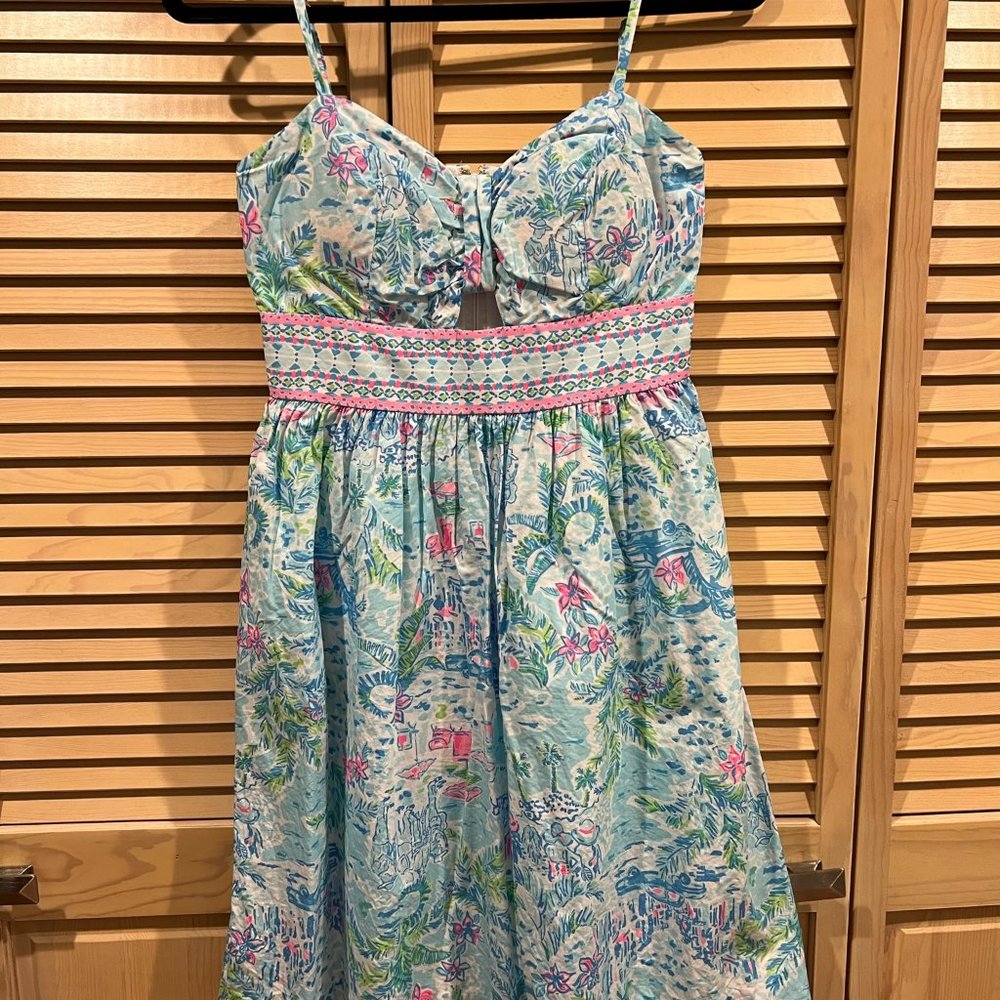 Lilly Pulitzer Katlynn Dress in What A Lovely Place, size 0, EEUC
